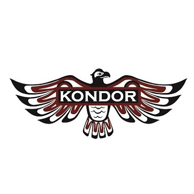Продукция бренда Kondor Professional